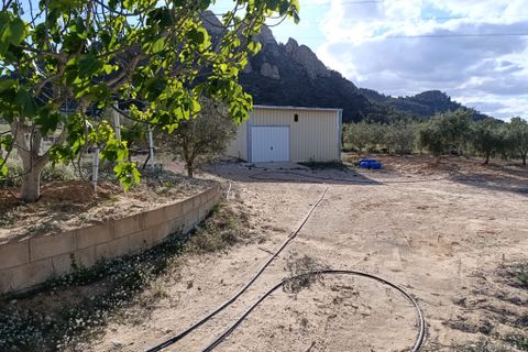 Masia a Sax, Alicante, Sax - € 63.000 | Ref: Panadero - foto 11